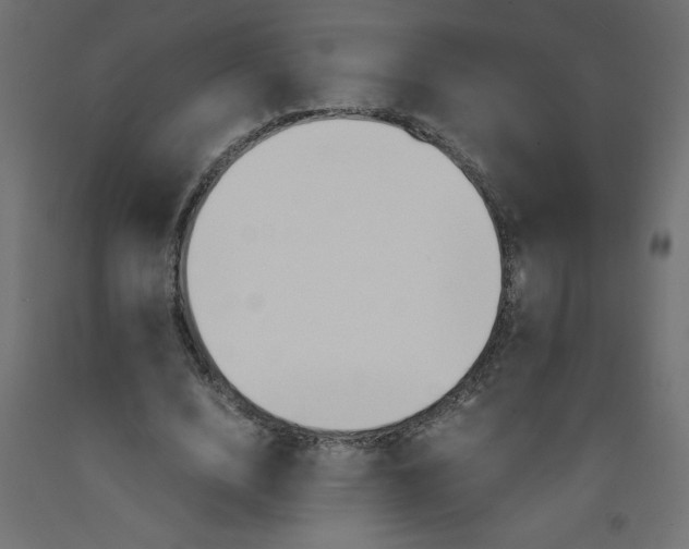 X0000092310632200710121459