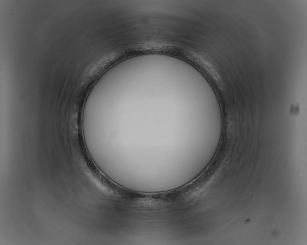 X0000092310633200710121459