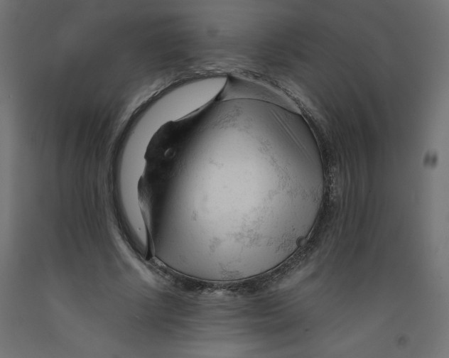 X0000092310634200710121459