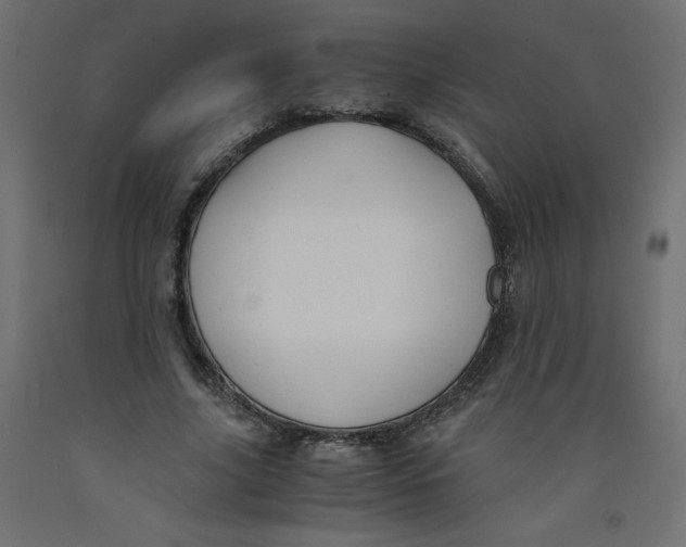 X0000092310635200710121459