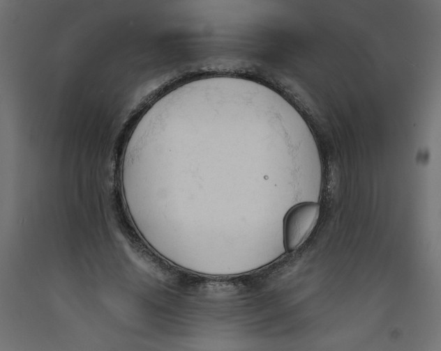X0000092310636200710121459