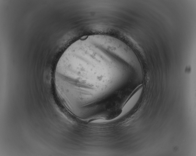 X0000092310637200710121459