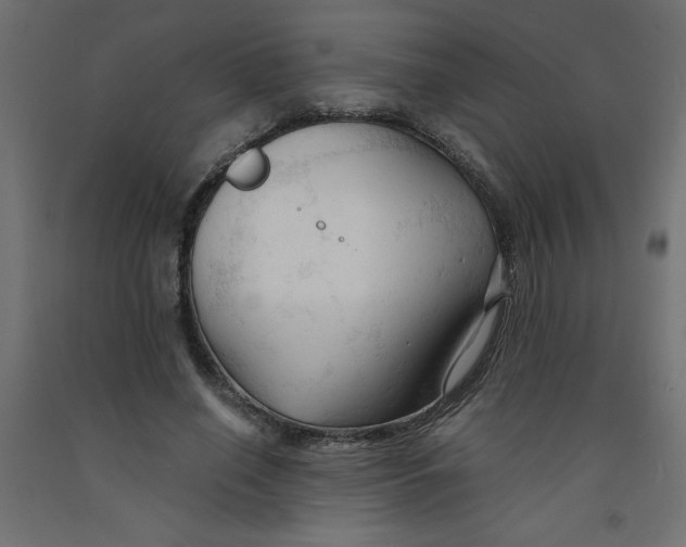 X0000092310638200710121459