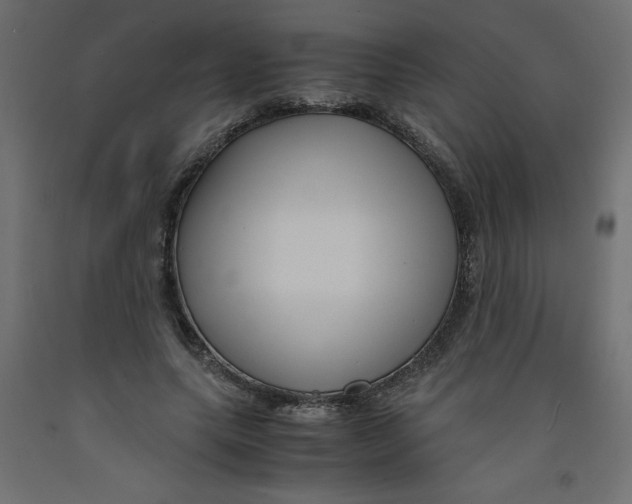 X0000092310639200710121459