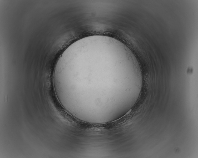 X0000092310642200710121459