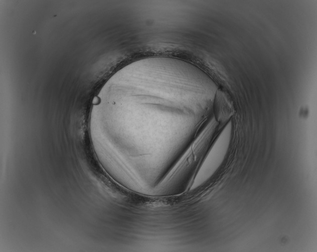 X0000092310644200710121459
