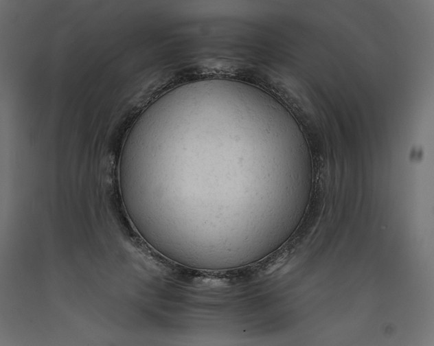 X0000092310649200710121459