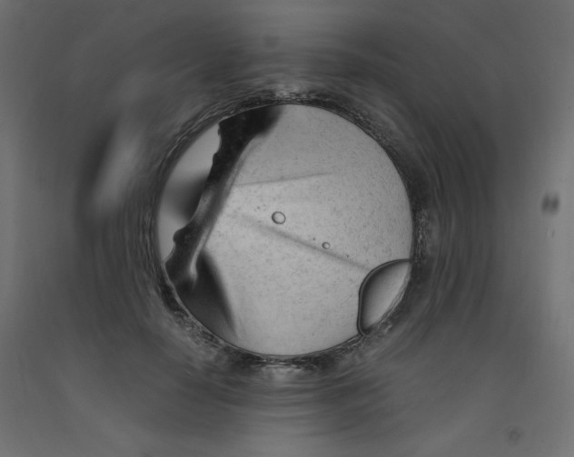 X0000092310650200710121459
