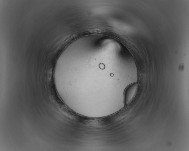 X0000092310652200710121459