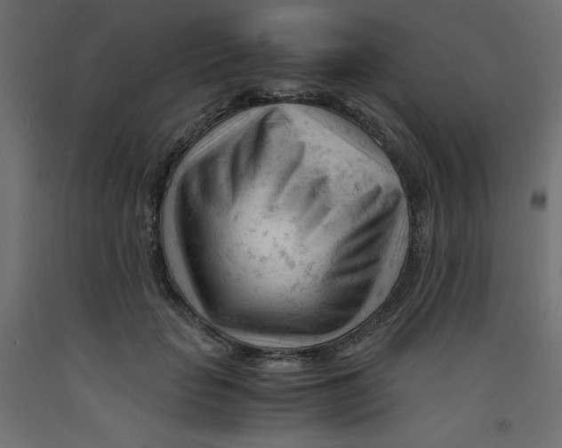 X0000092310653200710121459