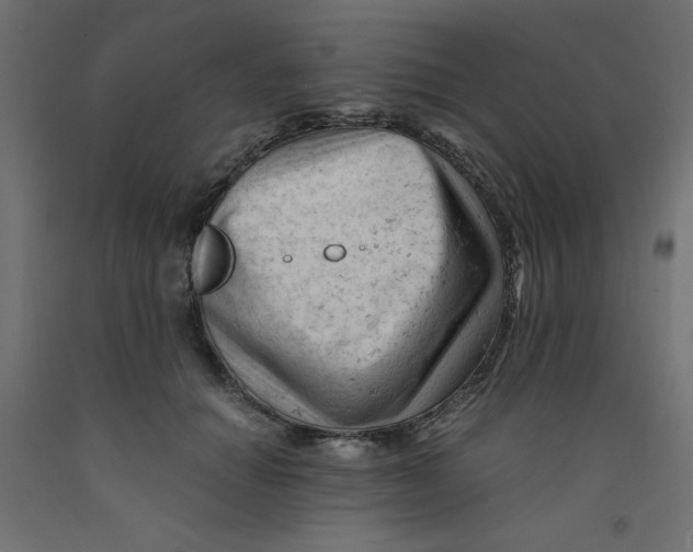 X0000092310654200710121459