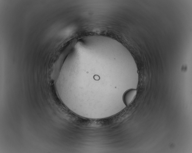 X0000092310656200710121459