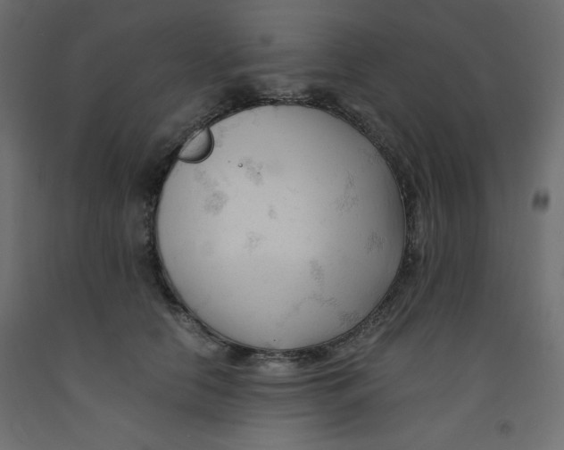 X0000092310658200710121459