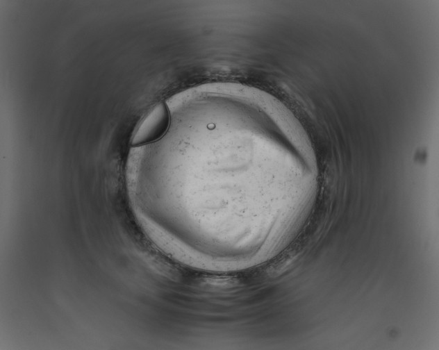 X0000092310659200710121459