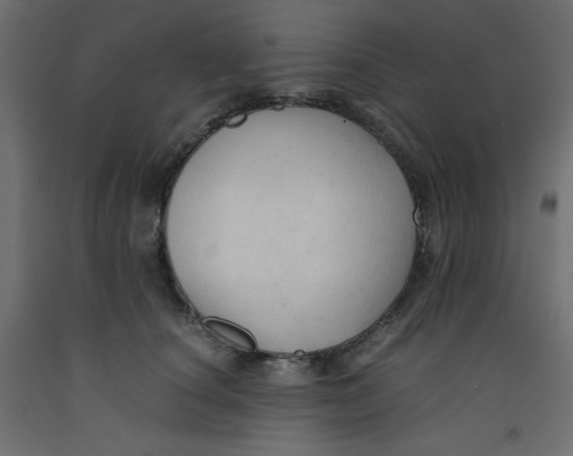 X0000092310660200710121459