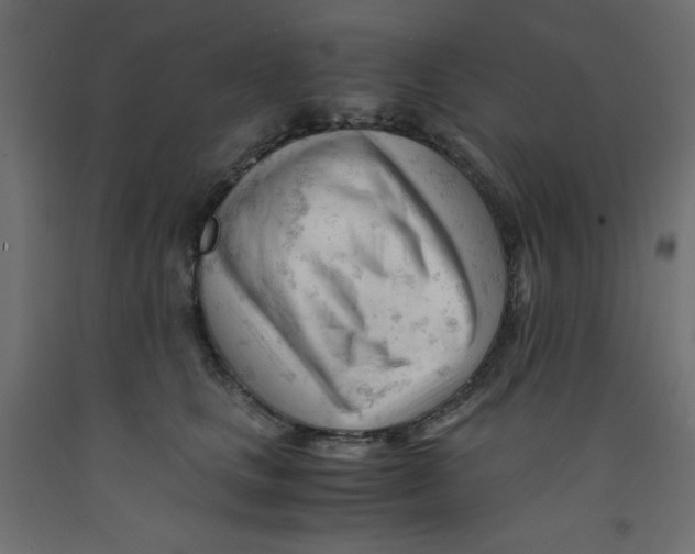 X0000092310661200710121459