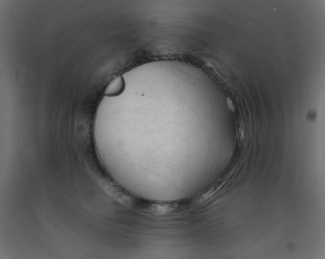 X0000092310662200710121459
