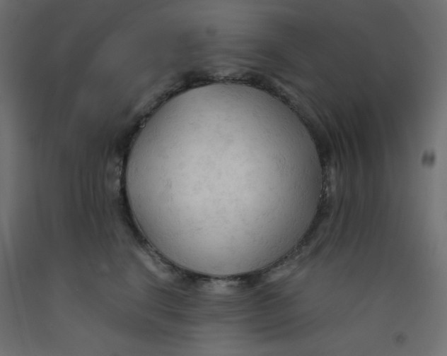 X0000092310664200710121459