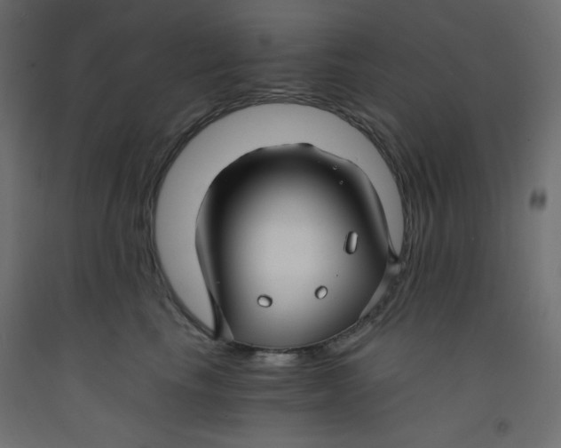 X0000092310665200710121459