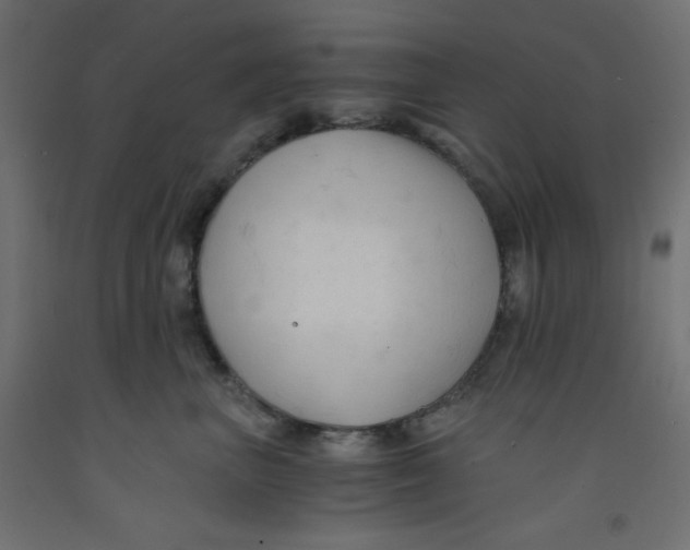 X0000092310667200710121459