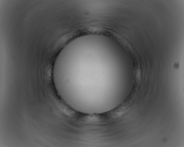 X0000092310668200710121459