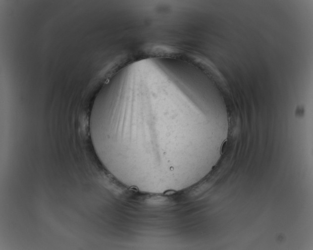 X0000092310669200710121459