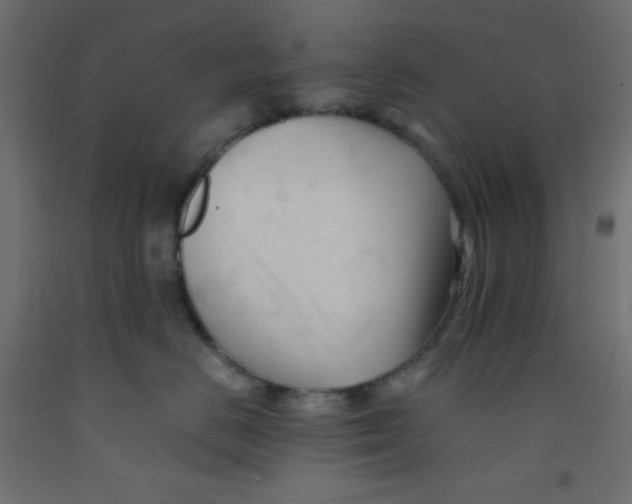 X0000092310670200710121459