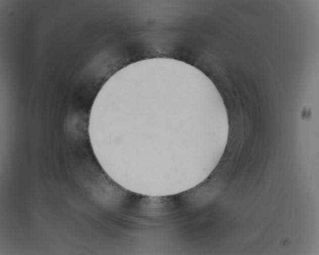 X0000092310672200710121459
