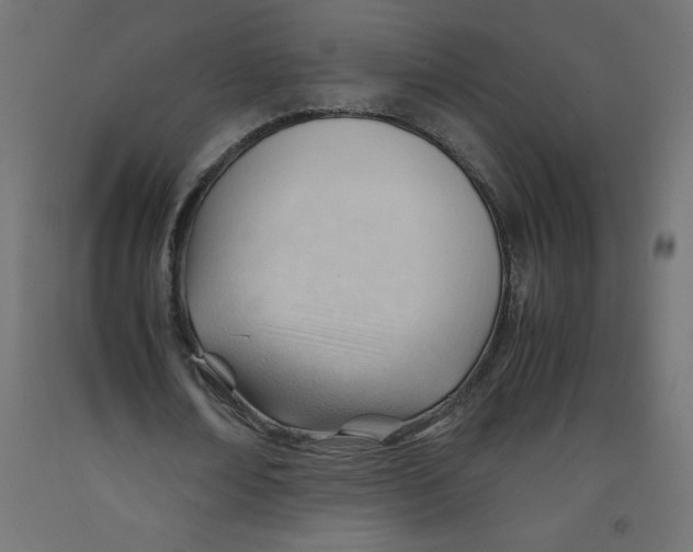 X0000092310674200710121459