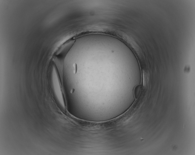 X0000092310675200710121459