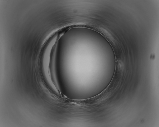 X0000092310676200710121459