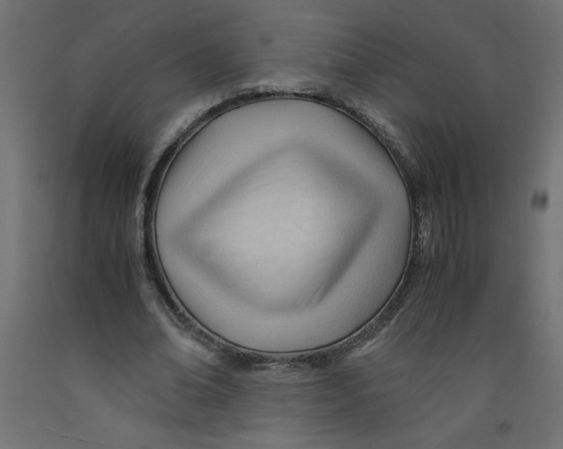 X0000092310678200710121459