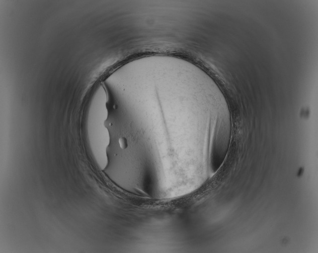X0000092310679200710121459