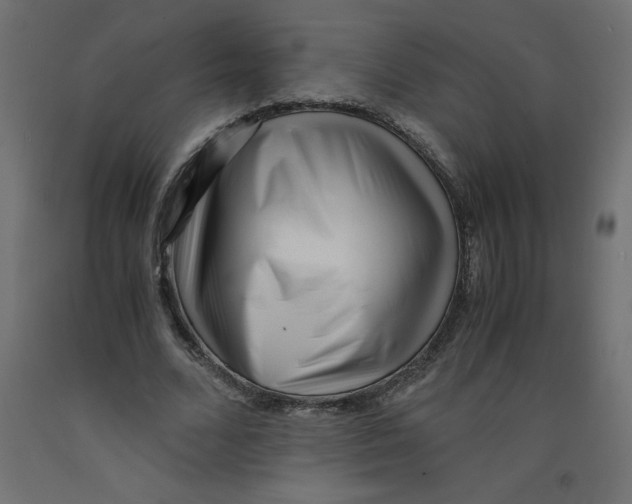 X0000092310680200710121459