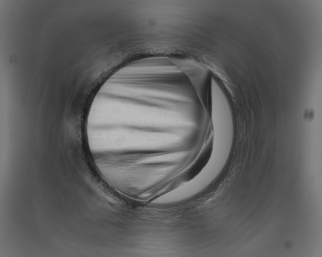 X0000092310681200710121459