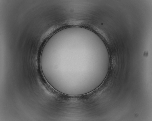 X0000092310682200710121459