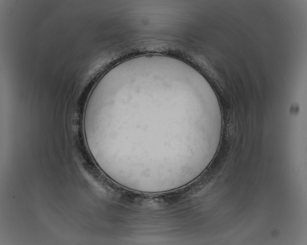 X0000092310683200710121459