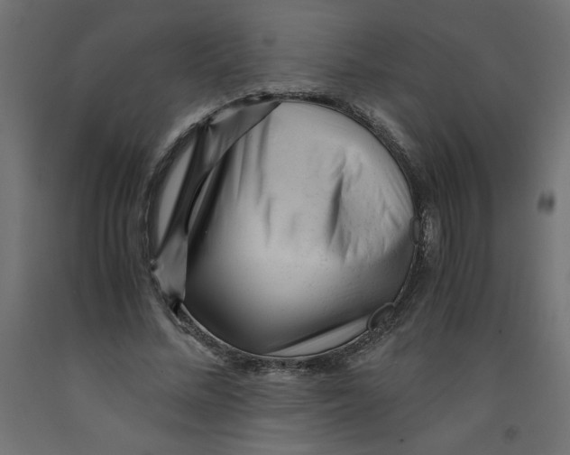 X0000092310684200710121459