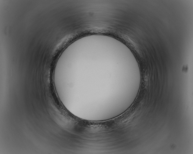X0000092310686200710121458