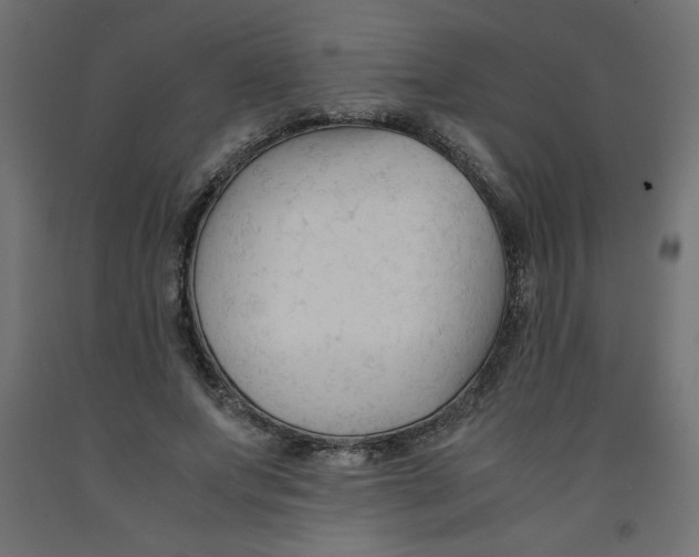 X0000092310687200710121458