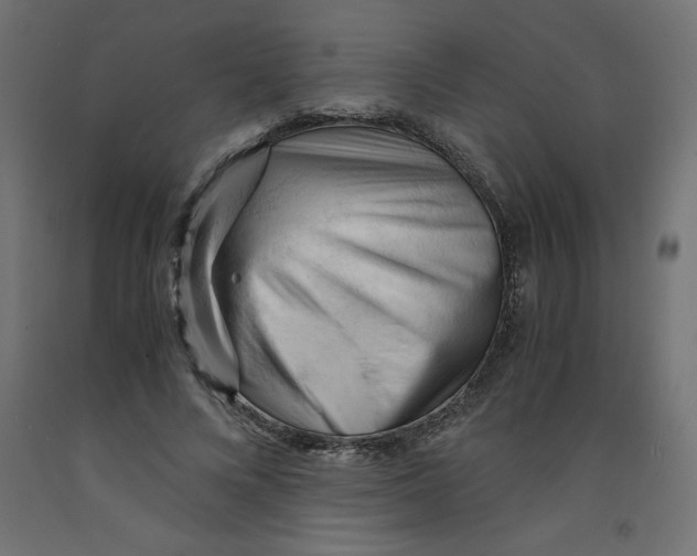 X0000092310688200710121458