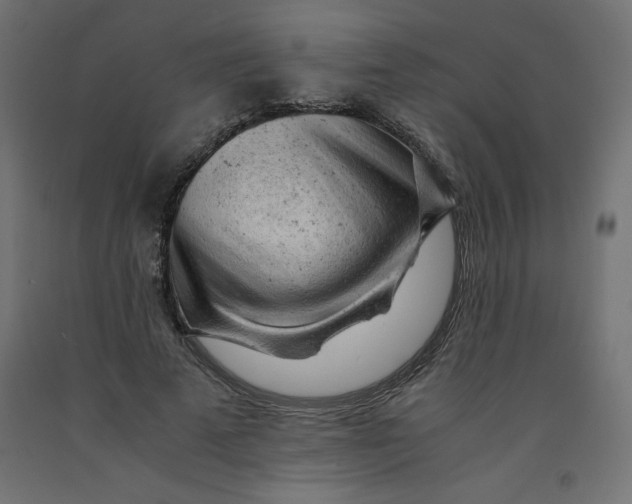 X0000092310689200710121458