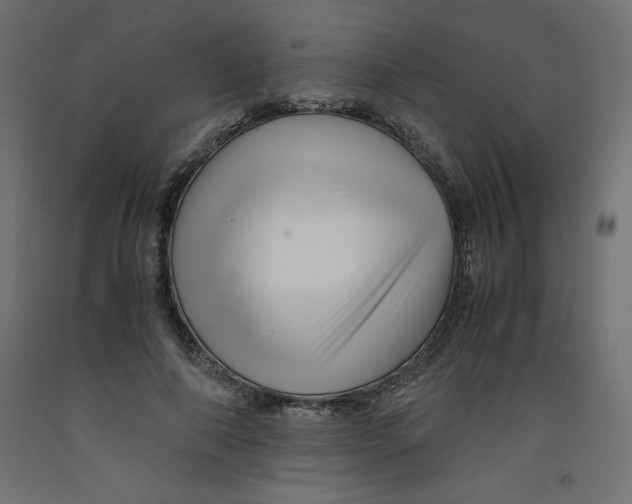 X0000092310690200710121458