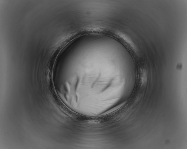 X0000092310692200710121458