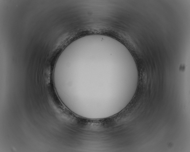 X0000092310694200710121458