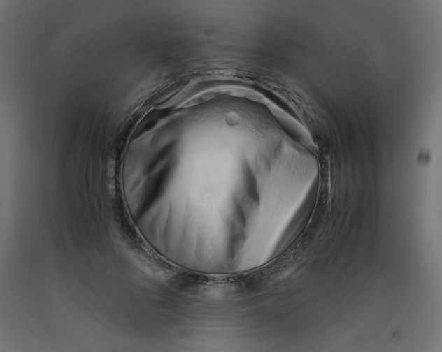 X0000092310696200710121458