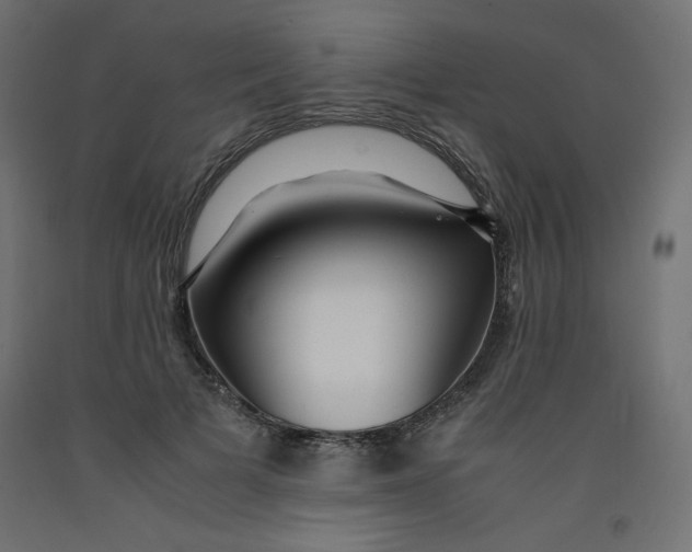 X0000092310697200710121458
