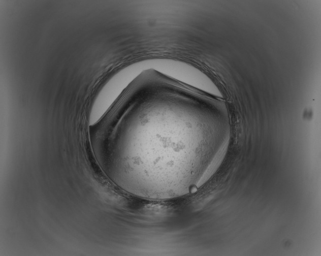 X0000092310699200710121458