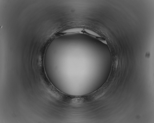 X0000092310700200710121458
