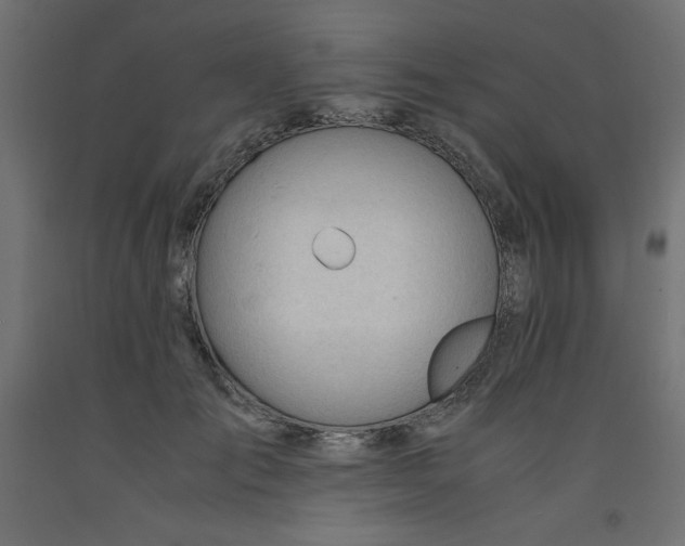 X0000092310701200710121458